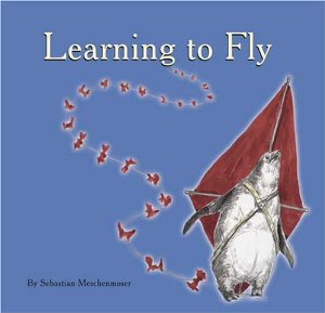 Learning to Fly Book Cover