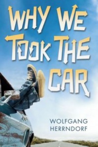 Why We Took the Car Book Cover